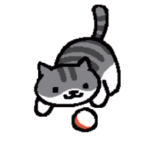 catplaying with a ball